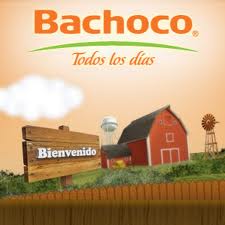 bachoco