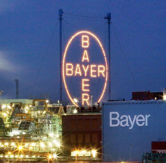 bayer2