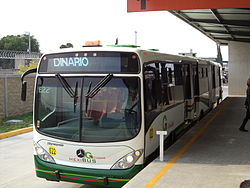 mexibus2