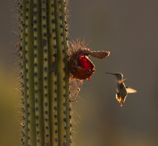 turismo de naturaleza