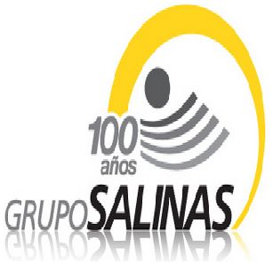 grupo salinas